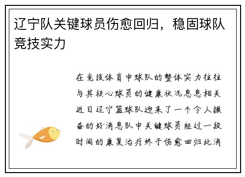 辽宁队关键球员伤愈回归，稳固球队竞技实力