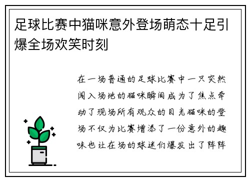 足球比赛中猫咪意外登场萌态十足引爆全场欢笑时刻