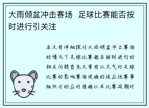 大雨倾盆冲击赛场  足球比赛能否按时进行引关注