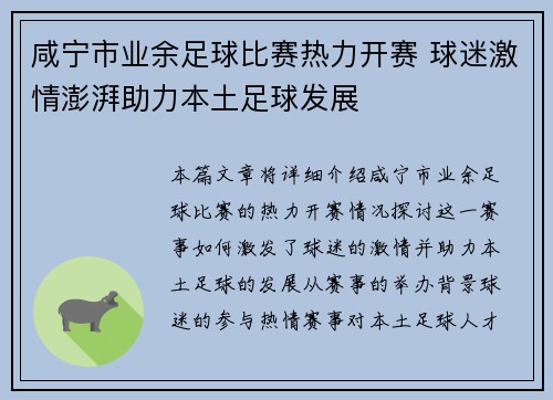 咸宁市业余足球比赛热力开赛 球迷激情澎湃助力本土足球发展